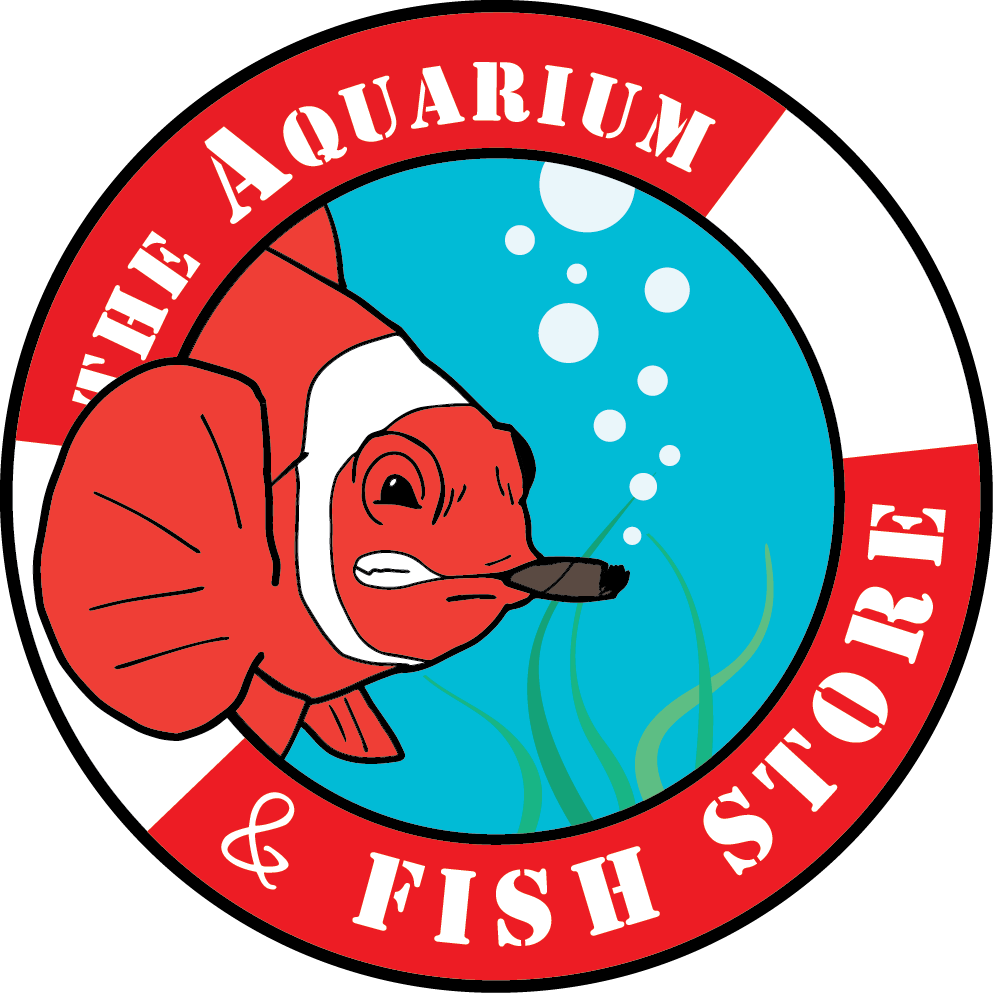 aquarium fish store
